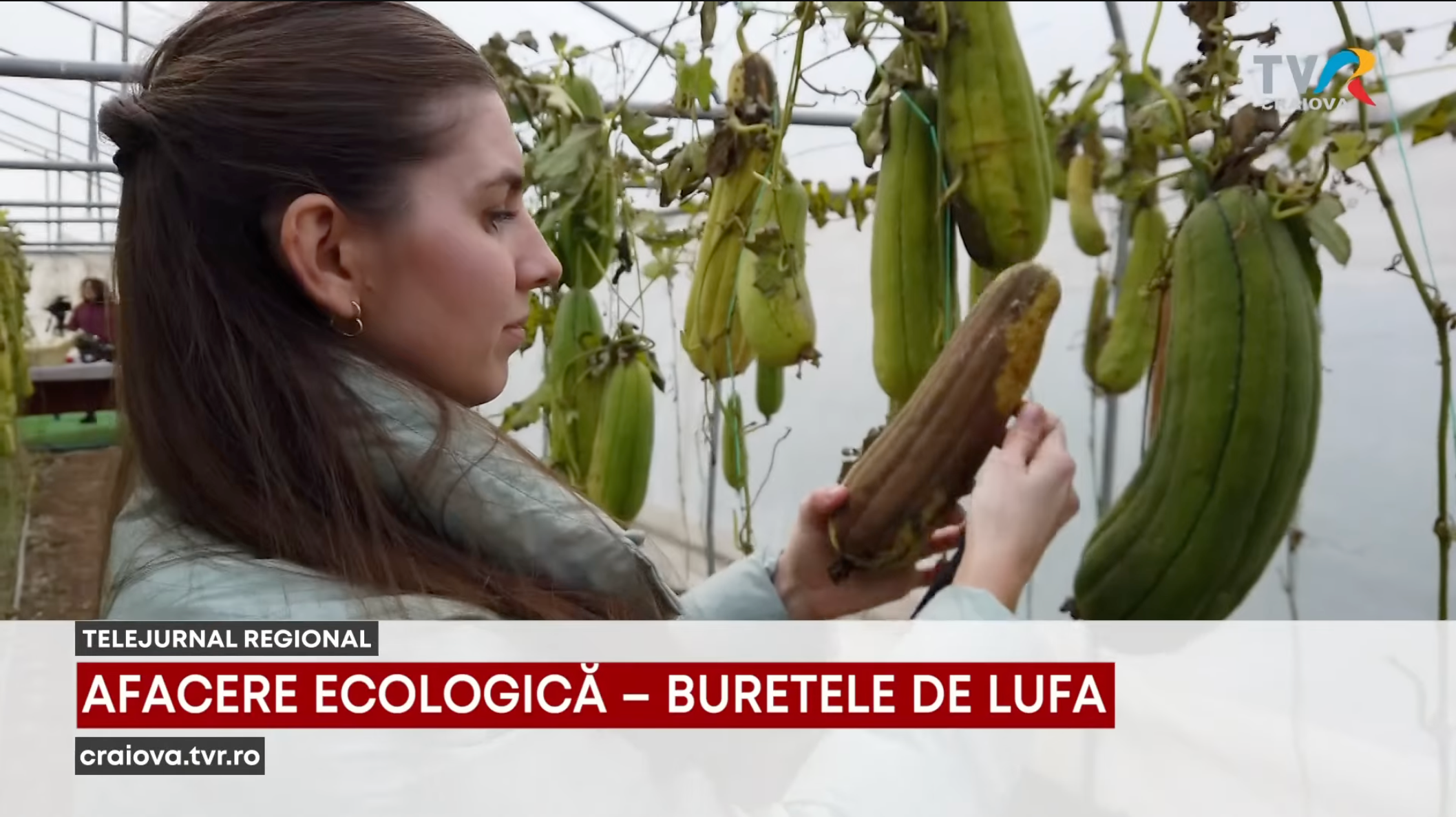 Încarcă clipul video: 